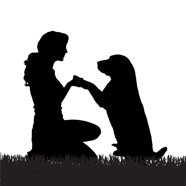 Erziehung Hund – Unterschied zwischen Training und Erziehung