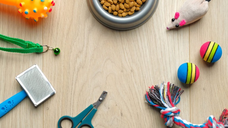 Hundezubehör – Was Hunde alles brauchen !