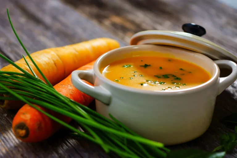Morosche Karottensuppe – das Hausmittel für den Hund