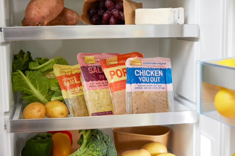 Butternut Box im Test – frisch gekochtes Hundefutter für Tommy & Richy